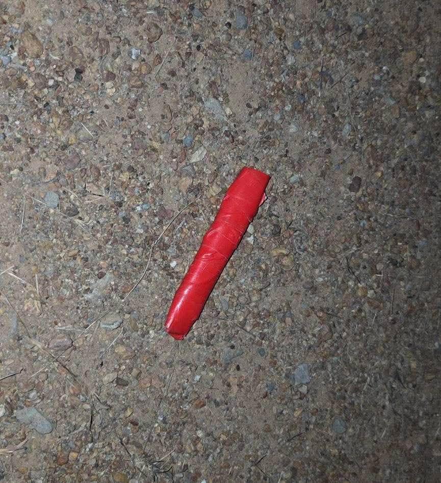 Thai woman surrenders after stabbing Polish man in dog-walking dispute