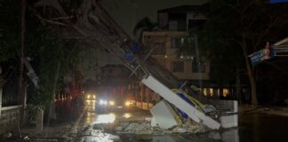 パタヤで強風により樹齢50年の木が倒れ、電柱に直撃。アルノタイ通りが通行止めとなり、停電が発生。