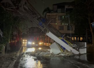 Sterk vind i Pattaya velter 50 år gammelt tre over på strømstolpe, blokkerer Arunothai-veien og kutter strømmen.