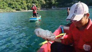 Thai Fisherman Discovers 2kg Lump Resembling Valuable Ambergris Floating Off Koh Si Chang