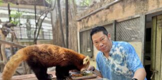Khao Kheow Open Zoo inbjuder allmänheten att fira 48-årsjubileum med evenemanget "48 år av vild tacksamhet"