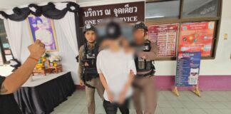 Полиция Чонбури не исключает террористического характера обнаружения крупного склада оружия гражданином Китая недалеко от Паттайи.