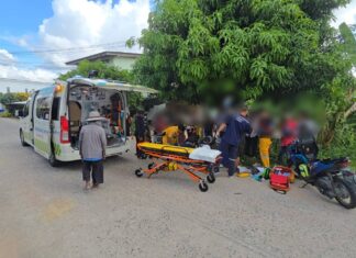 Tragic Hit-and-Run as 3-Year-Old Boy Killed While Playing Near Road in Sri Racha, Authorities Hunt for Suspect