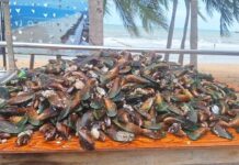 Des centaines d'habitants se précipitent sur la plage de Jomtien alors que les vagues charrient d'énormes quantités de moules et de couteaux.