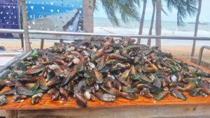 Hundreds of Locals Rush to Jomtien Beach as Waves Wash Up Massive Quantities of Mussels and Razor Clams