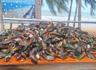Hunderte Einheimische eilen zum Strand von Jomtien, als Wellen riesige Mengen an Muscheln und Messermuscheln anspülen.