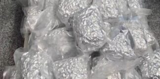Top National Thailand Stories From the Past Week: Transnational Cannabis Smuggling Crackdown Tightens, and More