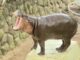 Khao Kheow Open Zoo Throws Grand Celebration for Global Star Moo Deng’s 2nd Birthday, Unveils 75-Million-Baht “Hippo Village” Project