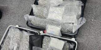 Thailand Issues Urgent Warning to Travelers: Avoid Cannabis Smuggling Risks Amid Surge in Airport Arrests