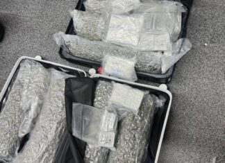 Thailand Issues Urgent Warning to Travelers: Avoid Cannabis Smuggling Risks Amid Surge in Airport Arrests