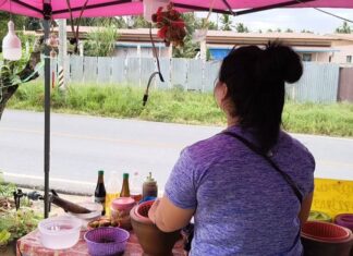 Somtam Shop Owner in Takhian Tia Awakes at 5 a.m. to Find Water Meter Stolen, Appeals for Public Tips