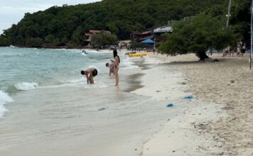 Oil-Like Material Washes Ashore on Koh Larn Beaches, Coating Some Swimmers