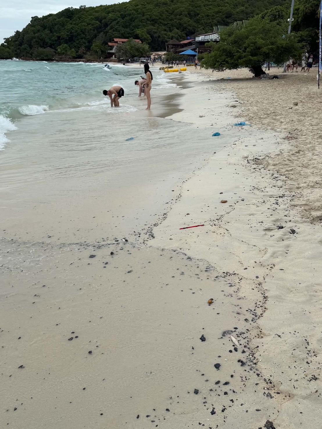 Oil-Like Material Washes Ashore on Koh Larn Beaches, Coating Some Swimmers 1786281120971