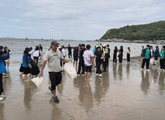 Laem Chabang Port Releases Over 390,000 Crab and Shrimp Fry in Volunteer Drive to Restore Marine Resources