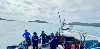Sattahip Officials Examine Decaying Bryde’s Whale Carcass Near Ko Samae San