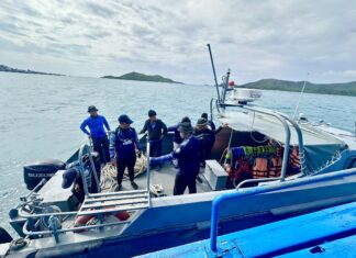 Sattahip Officials Examine Decaying Bryde’s Whale Carcass Near Ko Samae San
