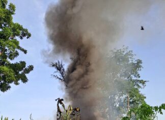 Man Planting Pineapples Returns to Find Home Completely Destroyed by Fire; Believes Phone Left Charging was the Culprit