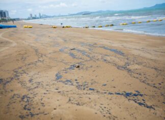 Black Oil-Like Slicks Wash Ashore at Jomtien Beach; Tourists Temporarily Avoid Swimming