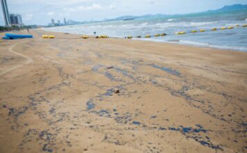 Black Oil-Like Slicks Wash Ashore at Jomtien Beach; Tourists Temporarily Avoid Swimming
