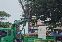 Giant Honey Bees Swarm in Pattaya Area, Sting 17 People Including Elderly Vendor, School Students, and Police Officer