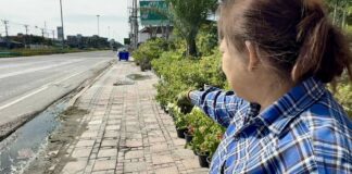 Residents Near Pattaya Complain About 24-hour Concrete Plants Choking Homes and a Plant Nursery
