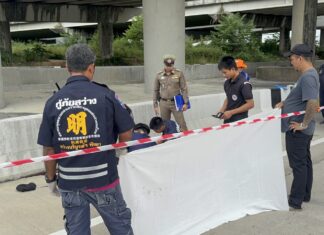 Unidentified Man Found Dead Under Route 36 Bridge in Banglamung; Police Review CCTV Over Multiple Wounds