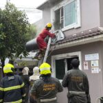 Cannabis Grow House Fire in Pattaya Leaves Responders Smiling After Inhaling Smoke 1790326220082