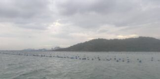 Mussel Farmer Seeks Compensation after Tankers’ Dragging Anchors Allegedly Damages 14 Cultivation Lines off Sri Racha