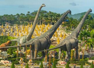 Nongnooch World Pattaya Signs Marketing Deal with Ctrip to Target Family Tourists